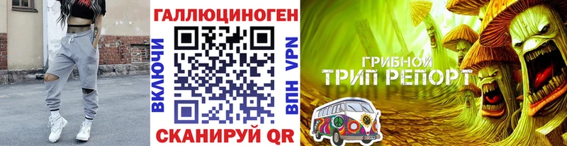 Галлюциногенные грибы Psilocybe  продажа наркотиков  Юрьевец 